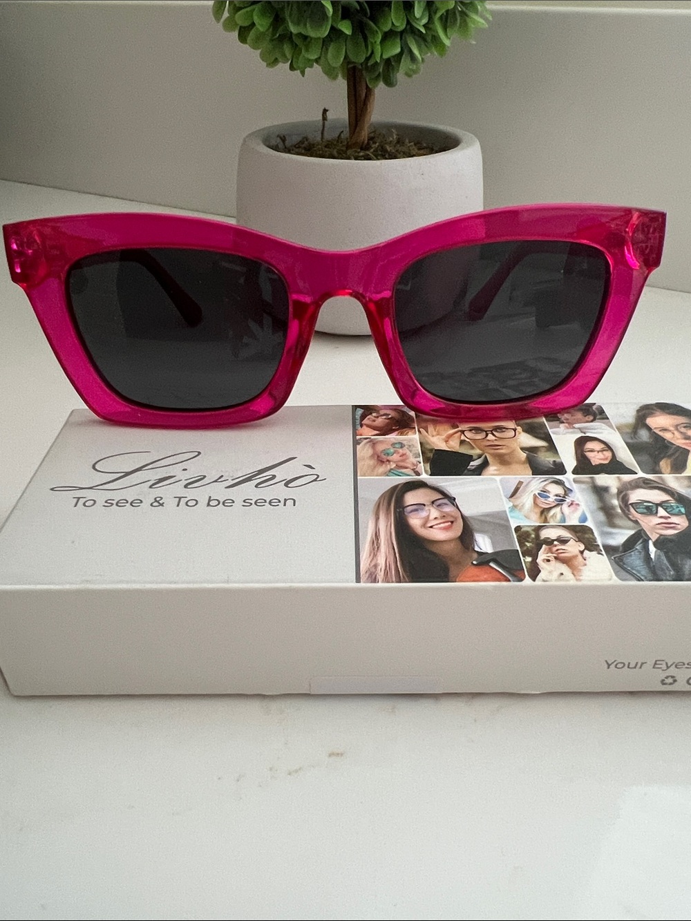 Hot Pink Transparent Cat-Eye Sunglasses